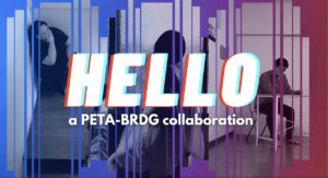 PETA-BRDG オンライン共同制作HELLO