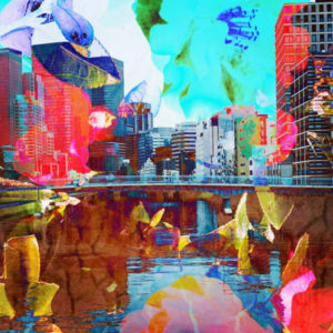 dracom楽しみな世界